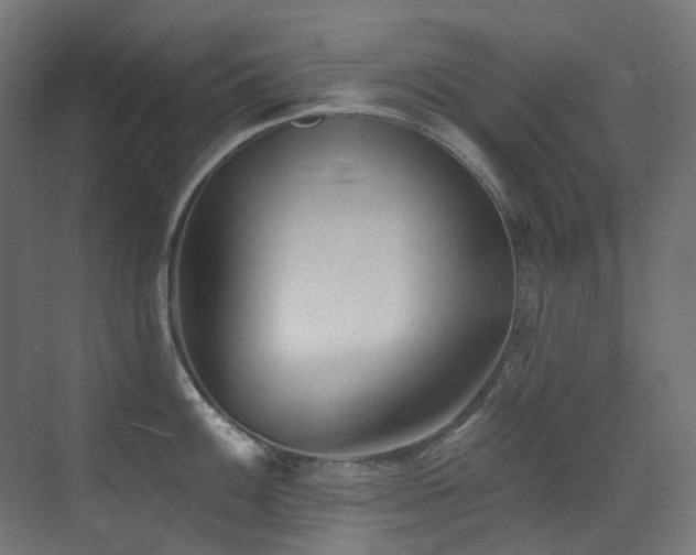X0000073461100200607281240