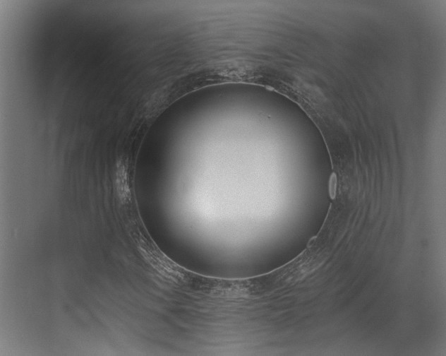 X0000073461106200607281240
