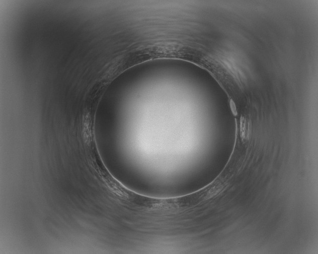 X0000073461107200607281240