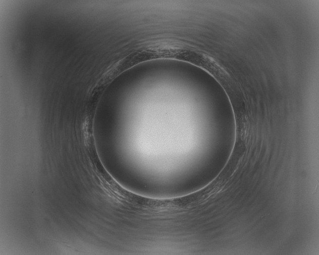 X0000073461108200607281240