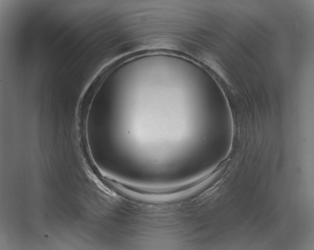 X0000073461116200607281240