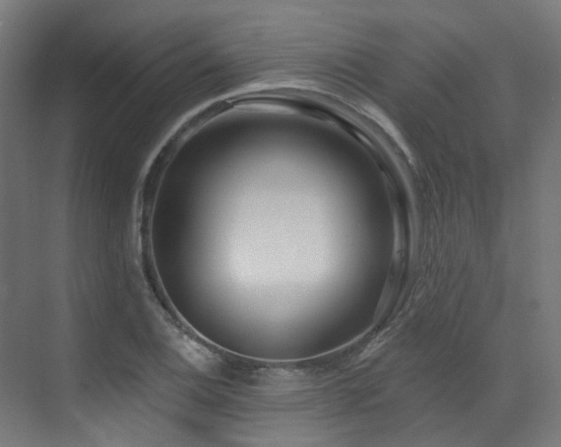 X0000073461124200607281240