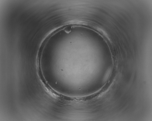 X0000073461125200607281240