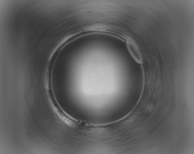 X0000073461131200607281240