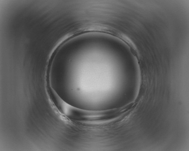 X0000073461138200607281240