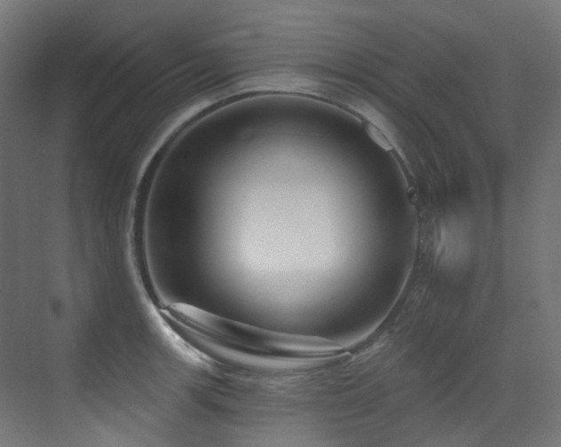 X0000073461139200607281240
