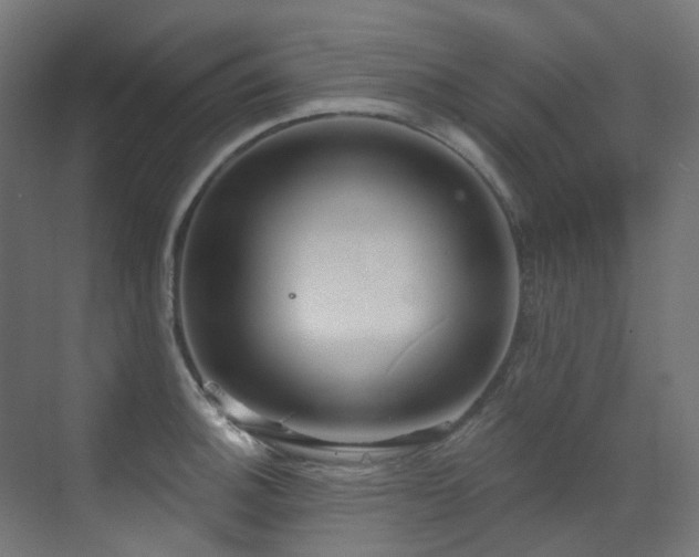 X0000073461140200607281240