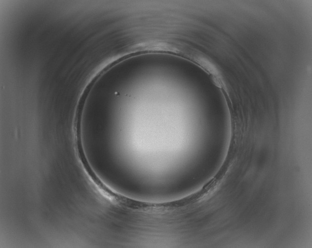 X0000073461141200607281240