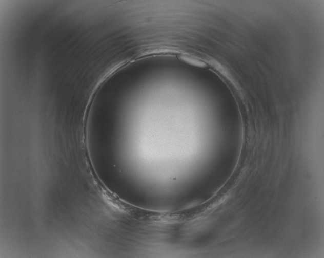 X0000073461145200607281240
