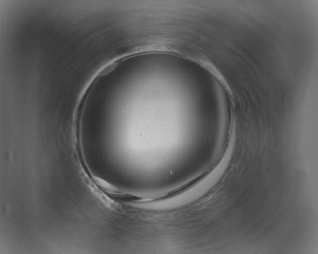 X0000073461148200607281240