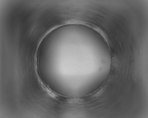 X0000073461150200607281240