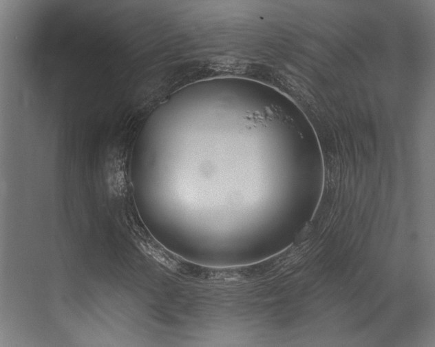 X0000073461154200607281240