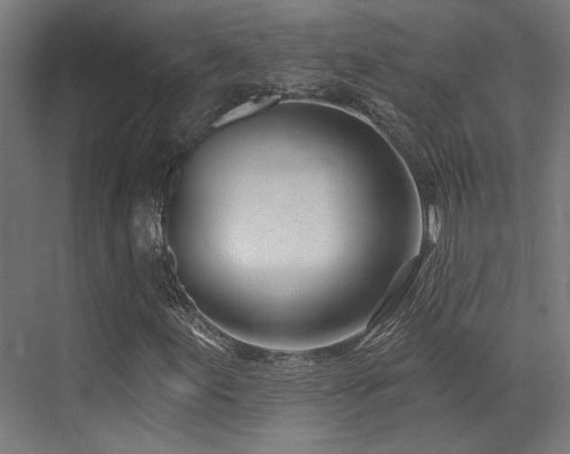 X0000073461155200607281240
