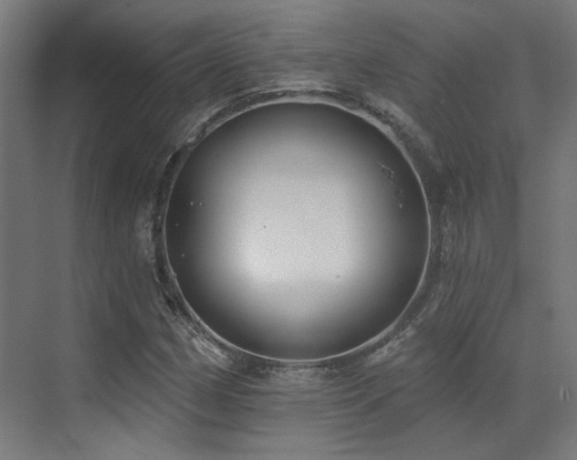 X0000073461162200607281239