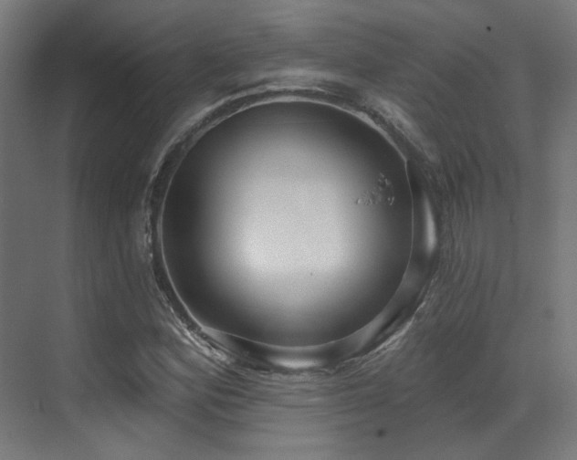 X0000073461164200607281239