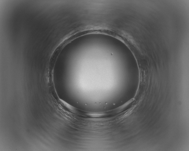 X0000073461165200607281239