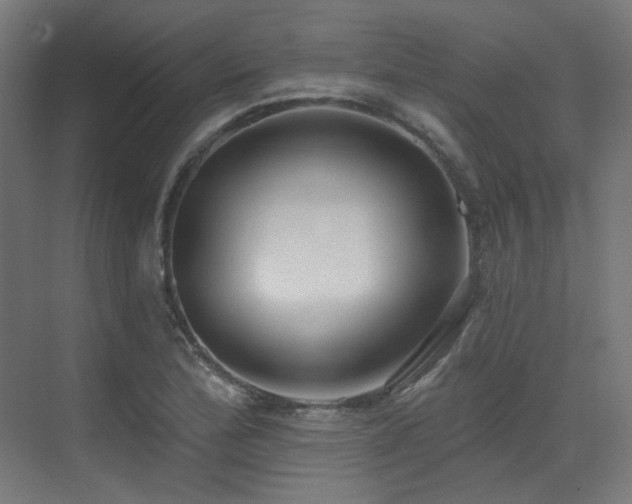 X0000073461172200607281239