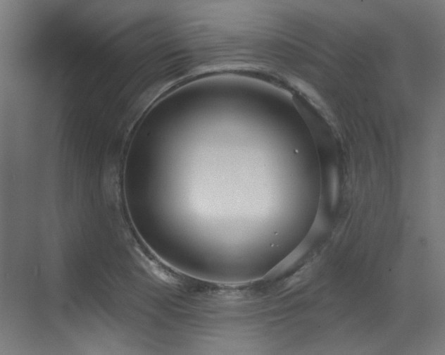 X0000073461177200607281239