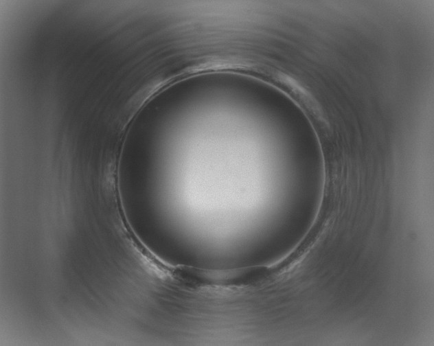 X0000073461185200607281239