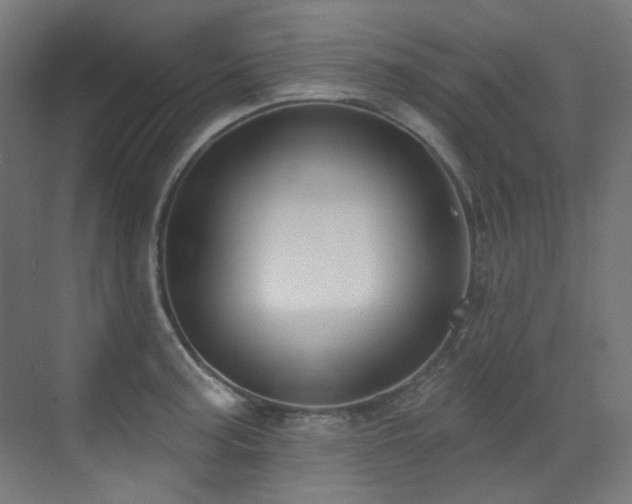 X0000073461187200607281239
