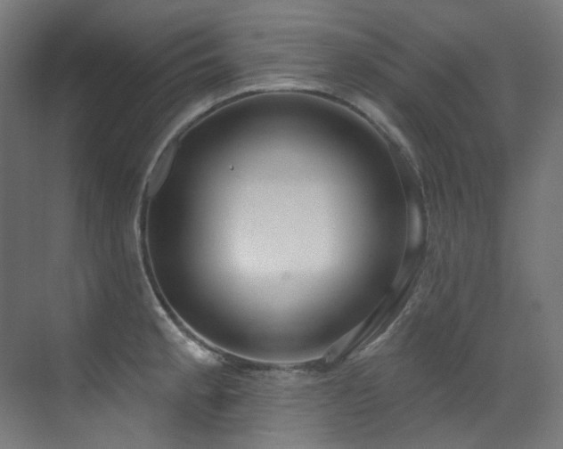 X0000073461189200607281239