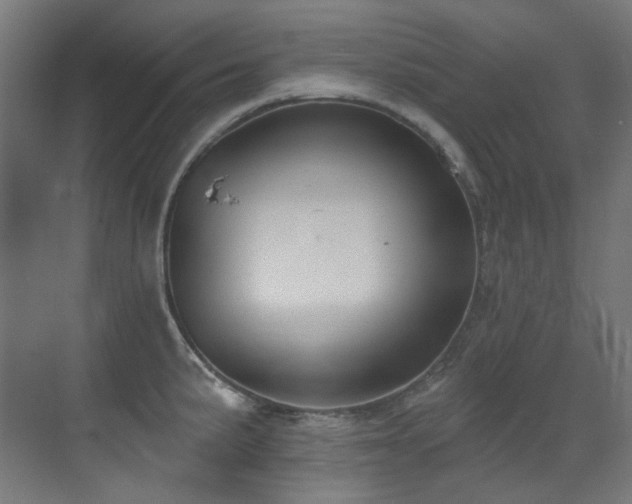 X0000073461191200607281239