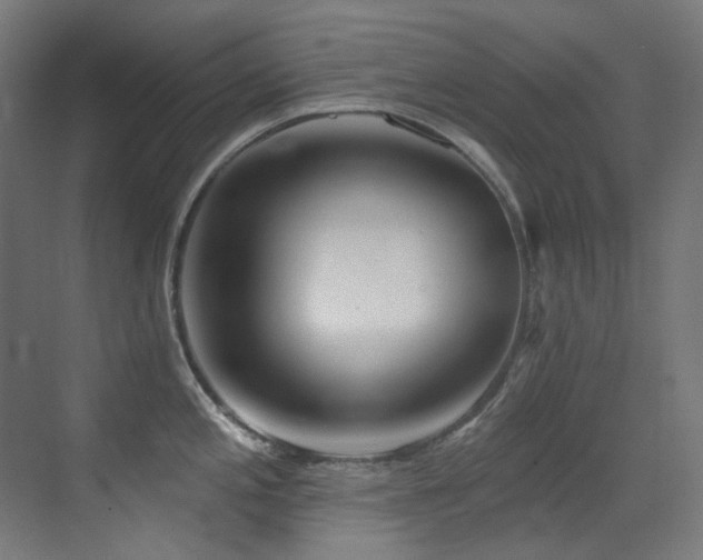 X0000073461197200607281239