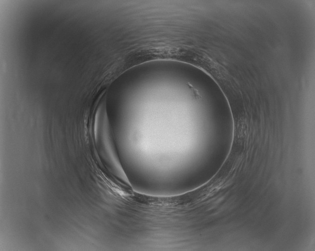 X0000073461202200607281238