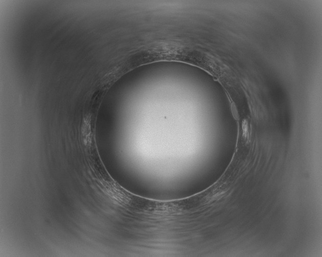 X0000073461203200607281238