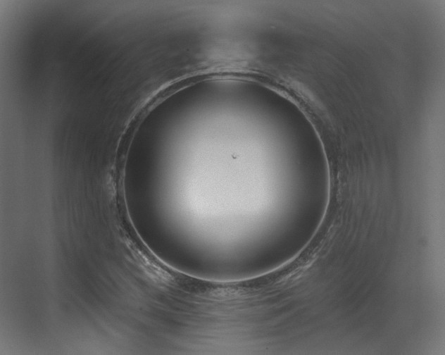 X0000073461212200607281238