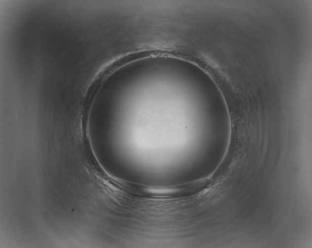 X0000073461214200607281238