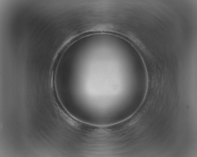 X0000073461224200607281238