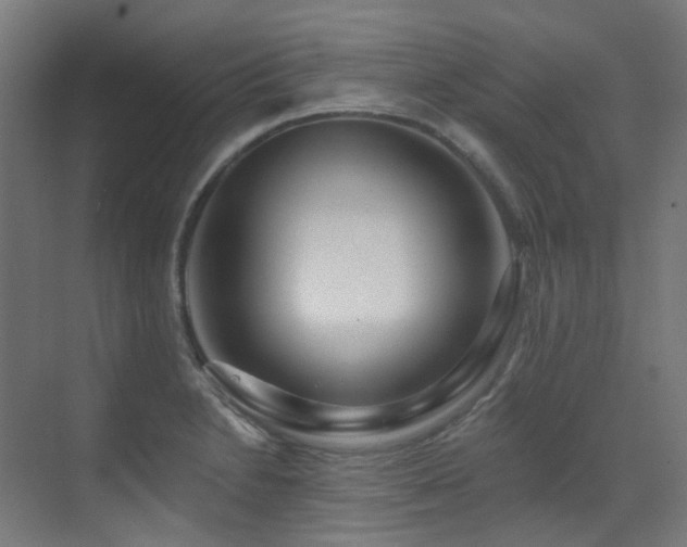 X0000073461230200607281238