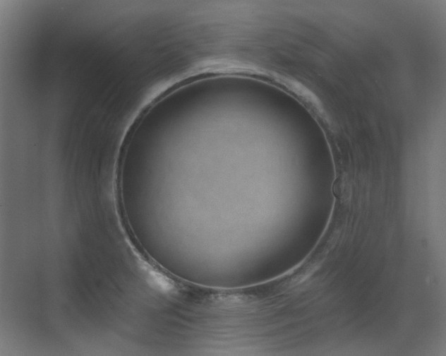 X0000073461231200607281238