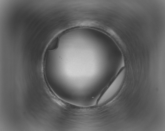 X0000073461232200607281238
