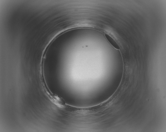X0000073461236200607281239