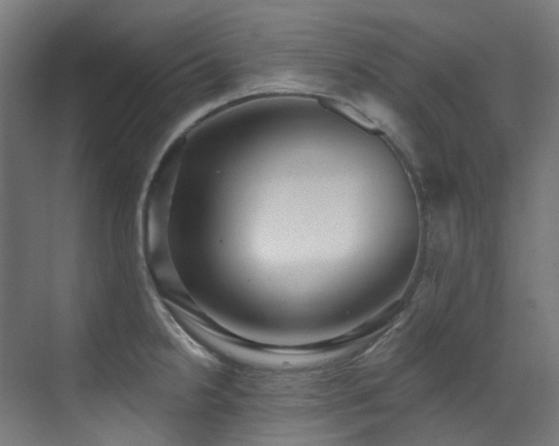 X0000073461238200607281239