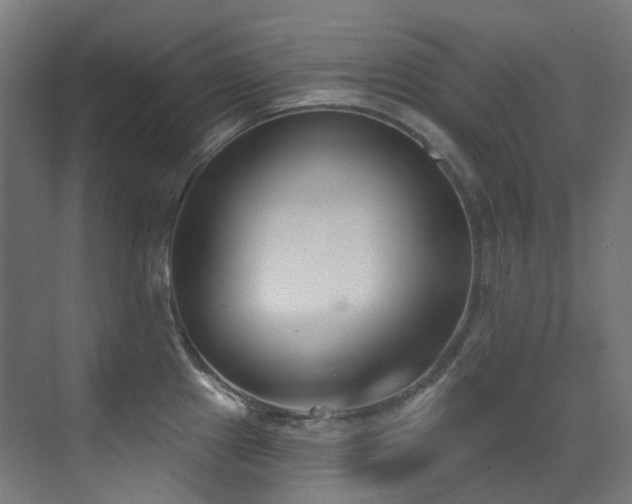 X0000073461241200607281239