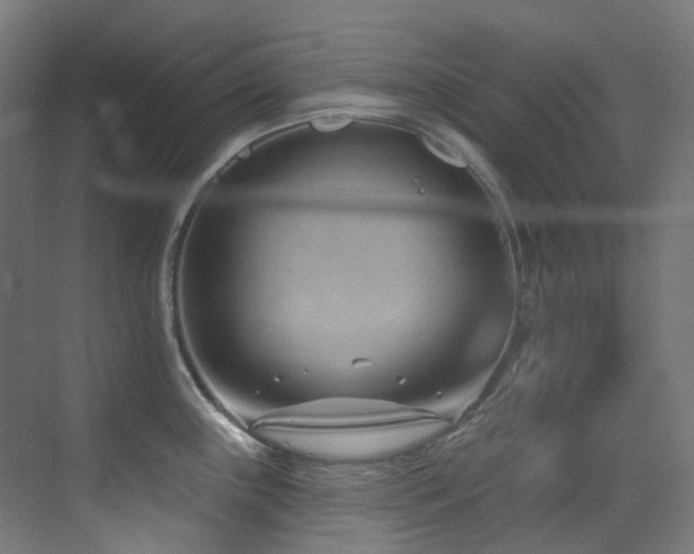 X0000073461243200607281239