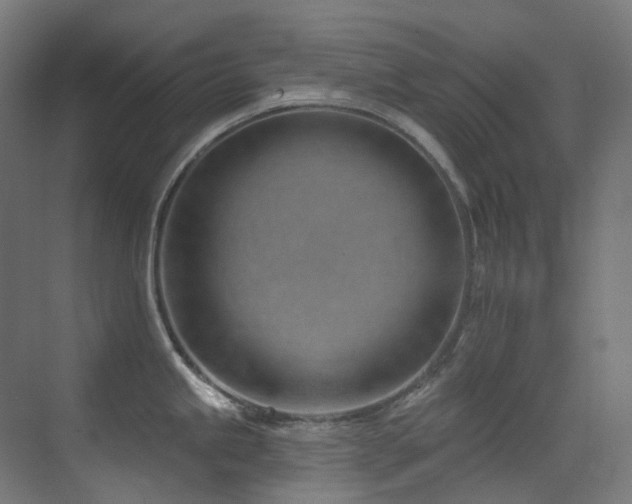 X0000073461245200607281239