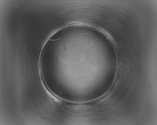 X0000073461247200607281239