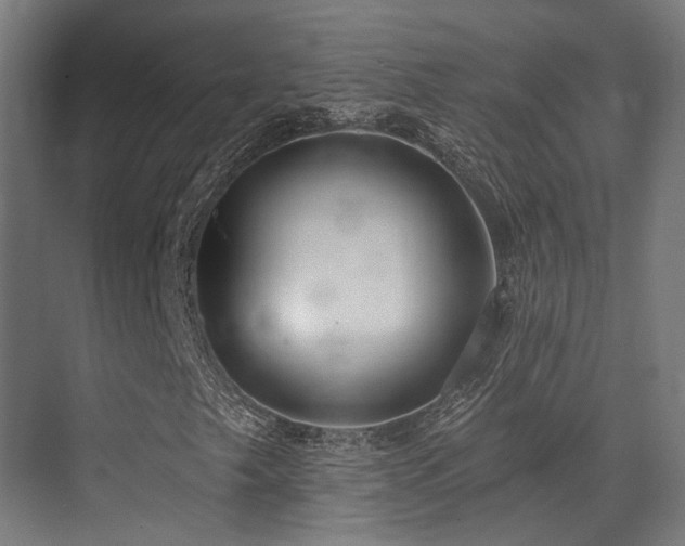 X0000073461249200607281238