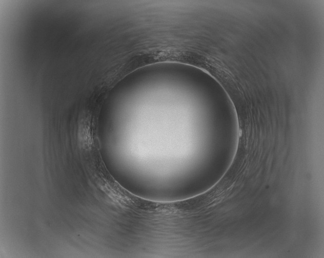X0000073461250200607281238