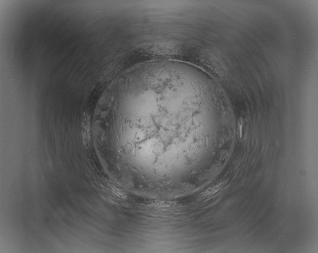 X0000073461251200607281238