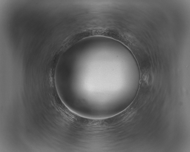 X0000073461252200607281238