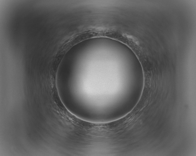 X0000073461253200607281238