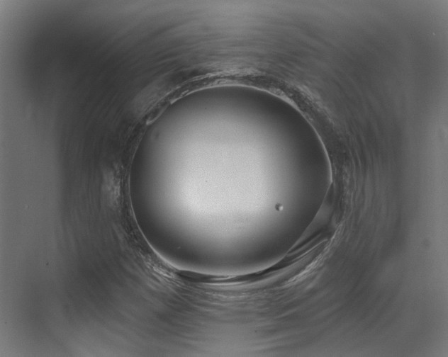 X0000073461257200607281238
