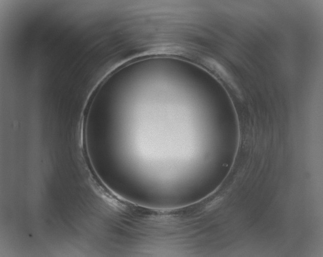 X0000073461276200607281237