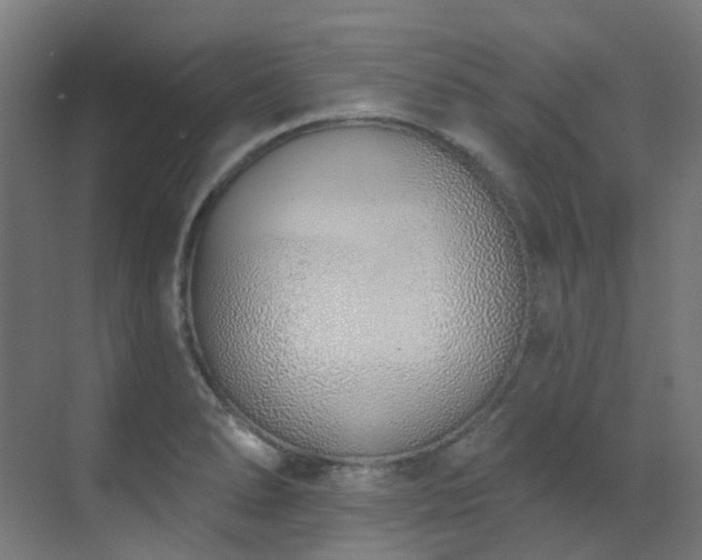 X0000073461278200607281237