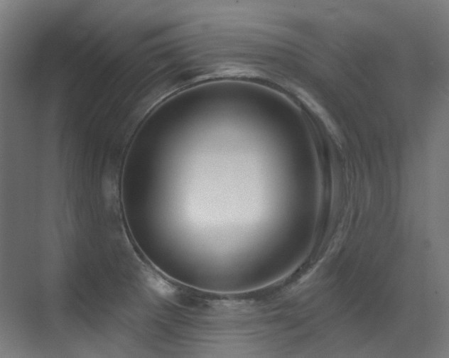 X0000073461281200607281237